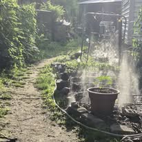 Misting the garden bed