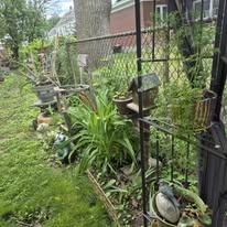Garden path with trellis and flowers
